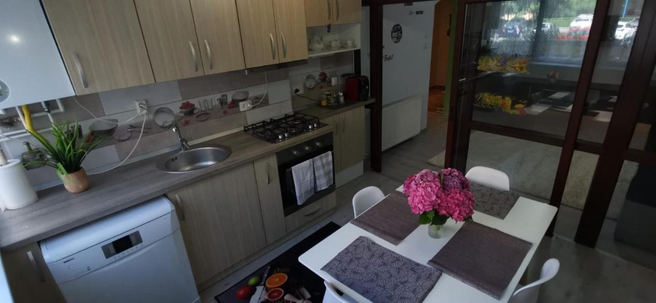 Ana Lux Apartments 브라쇼브 외부 사진