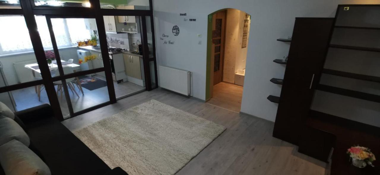 Ana Lux Apartments 브라쇼브 외부 사진